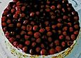 Erdbeertorte