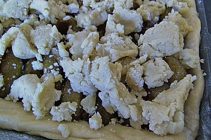 Pflaumenhefekuchen mit Streusel 5