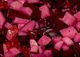 Rote Bete - Apfel - Salat