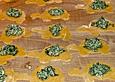 Ravioli di Tartaruga