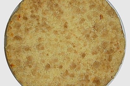 Käsekuchen mit Pudding , Grieß und Streuseln 9
