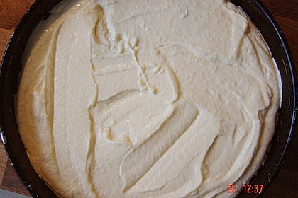 Käsekuchen mit Pudding , Grieß und Streuseln 10