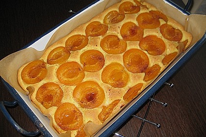 Obstkuchen 4