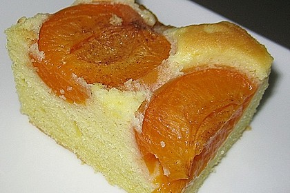 Obstkuchen 5