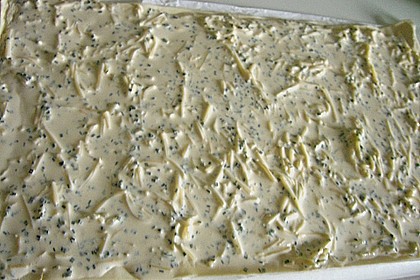 Kr&auml;uterschnecken 9