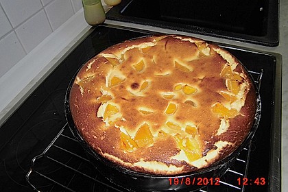 Der beste Käsekuchen der Welt 253