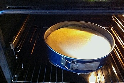 Der beste Käsekuchen der Welt 301