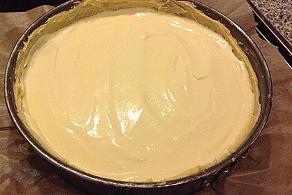 Der beste Käsekuchen der Welt 302