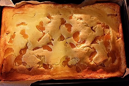 Der beste Käsekuchen der Welt 128