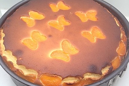 Der beste Käsekuchen der Welt 34