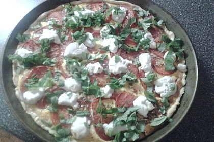 Tomaten - Tarte mit Ziegenkäse 19