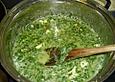 Palak Paneer