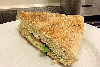 Fitness Sandwich 14