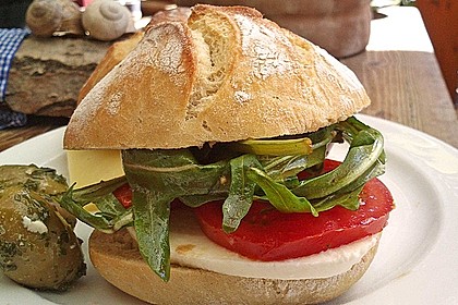 Fitness Sandwich 2