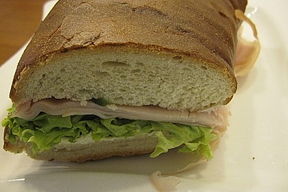 Fitness Sandwich 15