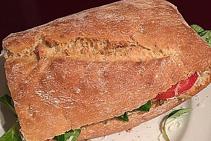 Fitness Sandwich 8