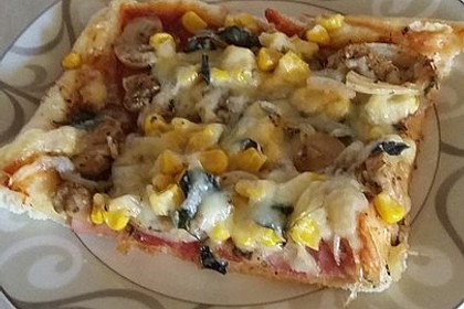 Schneller Pizzateig 16