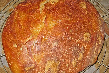 No Knead Bread 33