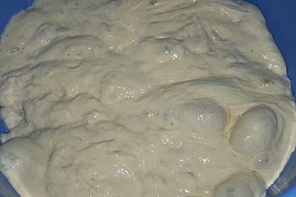 No Knead Bread 51