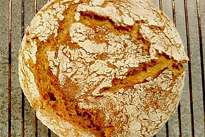 No Knead Bread 56