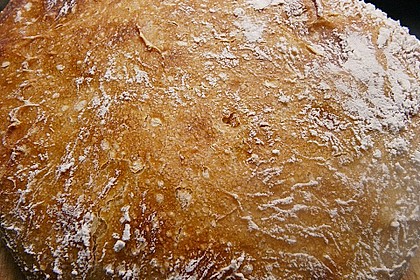 No Knead Bread 79