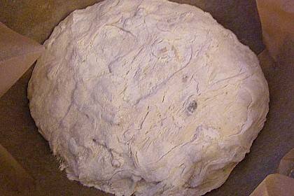No Knead Bread 118
