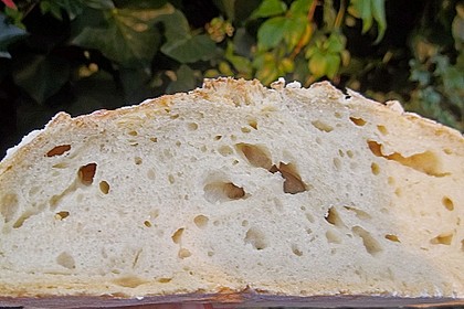 No Knead Bread 127