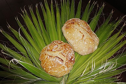 No Knead Bread 155
