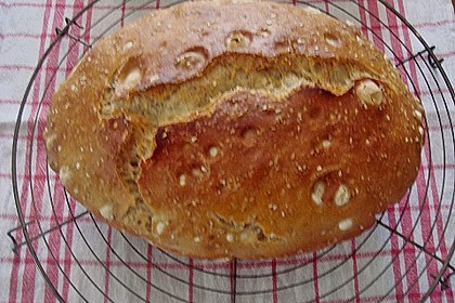 No Knead Bread 183