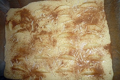 Apfelkuchen 11
