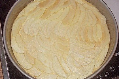 Apfelkuchen 17