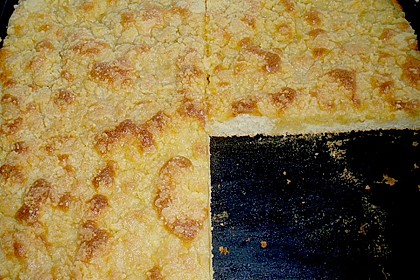 Streuselkuchen 4