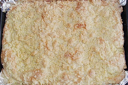 Streuselkuchen 7