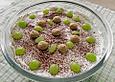 Mascarpone - Amaretti - Dessert