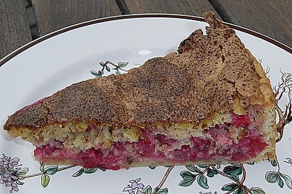 Johannisbeerkuchen 1