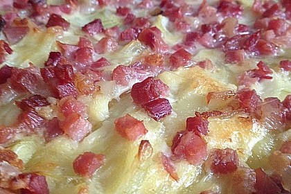 Schwäbischer Zwiebelkuchen 78