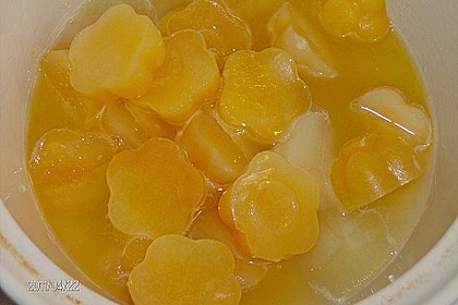 Kandierter Ingwer und Ingwer - Orangensirup 19
