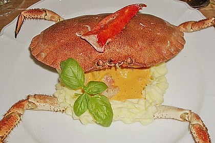 Taschenkrebs auf Kartoffel - Topinambur - P&uuml;ree
