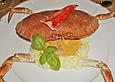 Taschenkrebs auf Kartoffel - Topinambur - P&uuml;ree