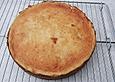 Apfelkuchen mit Schmandhaube