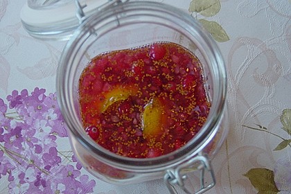 Cranberry - Likör 5