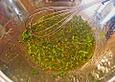 Sauce vinaigrette
