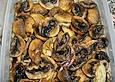 Eingelegte Champignons