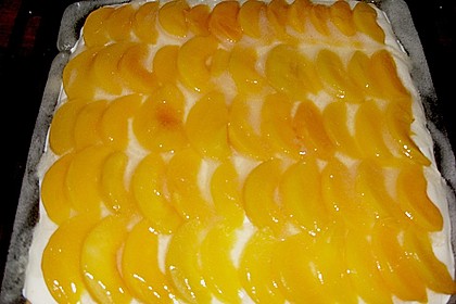 Topfen - Traubenkuchen 1