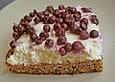 Heidelbeer - Schmandkuchen mit Schokoladenboden