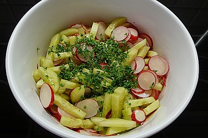Radieschen - Gurken - Salat 1