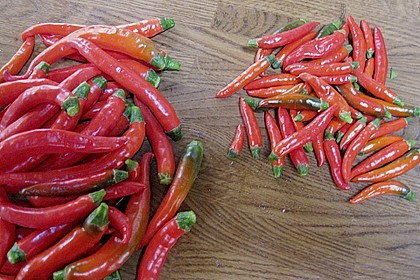 Peperoni haltbar machen 11