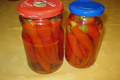 Peperoni haltbar machen 7