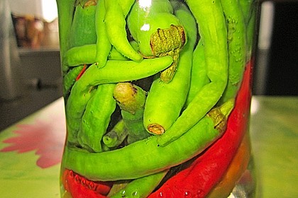 Peperoni haltbar machen 1