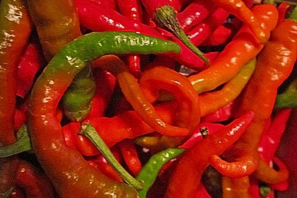 Peperoni haltbar machen 8